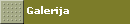 Galerija